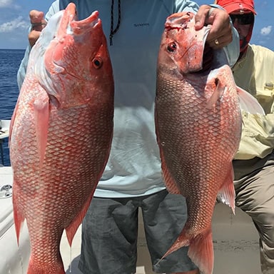 man holding up redfish he caught on an offshore fishing trip