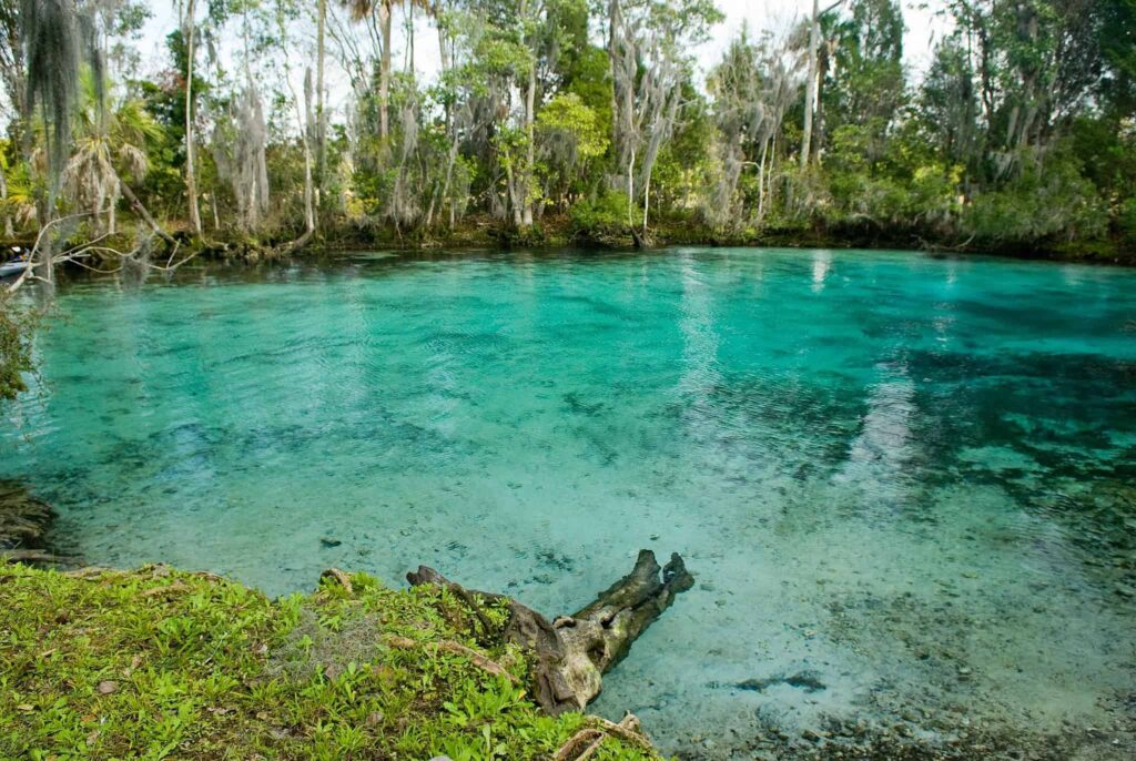 Spring in Crystal River Florida