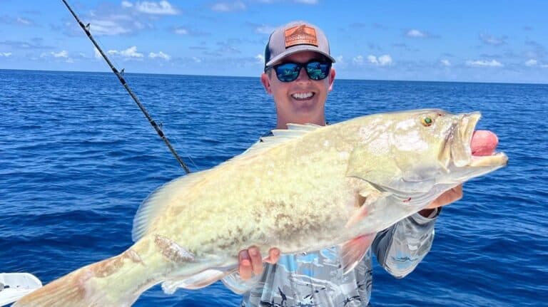 A Beginner’s Guide to Offshore Fishing in Crystal River, FL - Salt ...