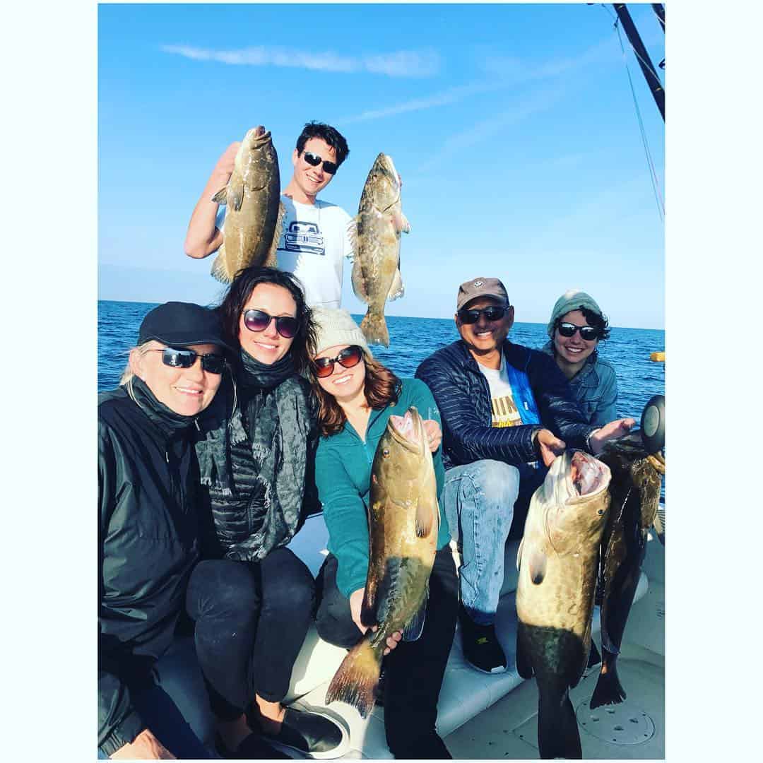 activities in crystal river