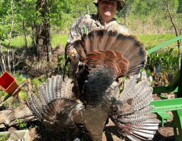 Hunter proudly holding an Osceola turkey in the Florida wilderness.