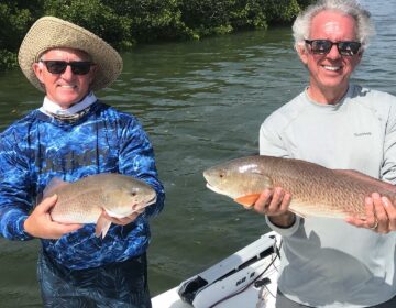 Two smiling anglers holding freshly caught redfish on a boat in Crystal River, Florida, with lush mangroves and calm waters in the background.