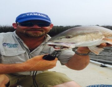 fish1